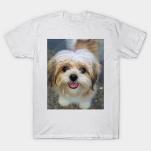 LOVE DOGS T-Shirt
